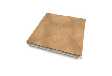 visuel du parquet